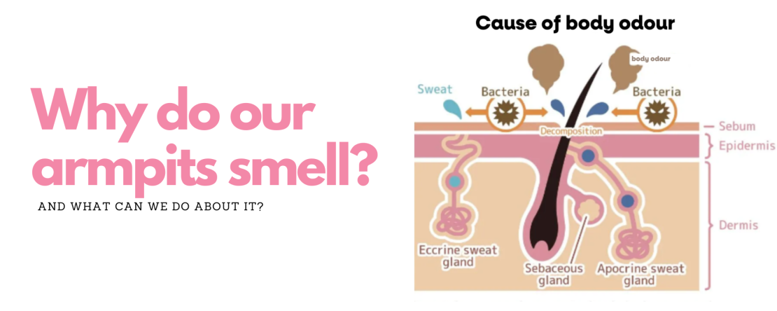 Why do our armpits smell?